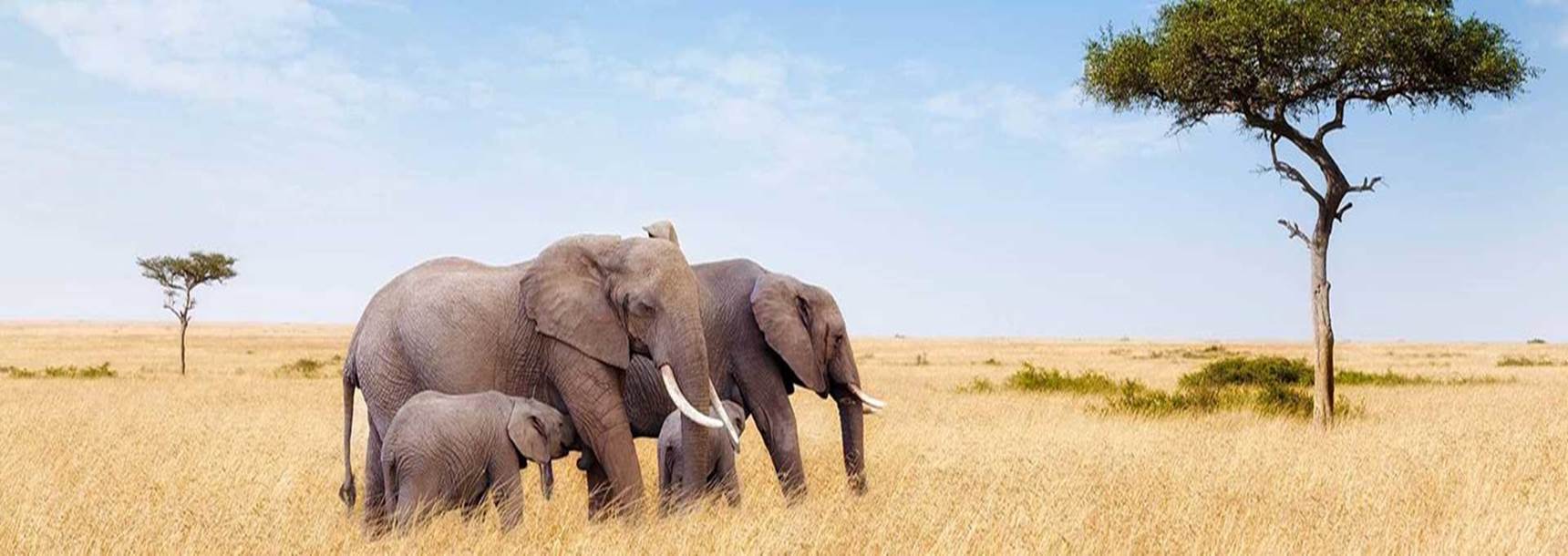 Foot Slopes Tours and Safaris Ltd 